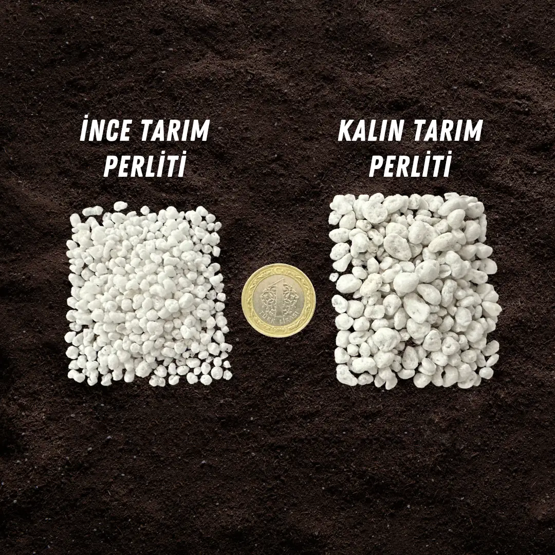 Koyu toprak üzerinde yan yana duran ince ve kalın tarım perliti yığınları, aralarında ölçek için madeni para