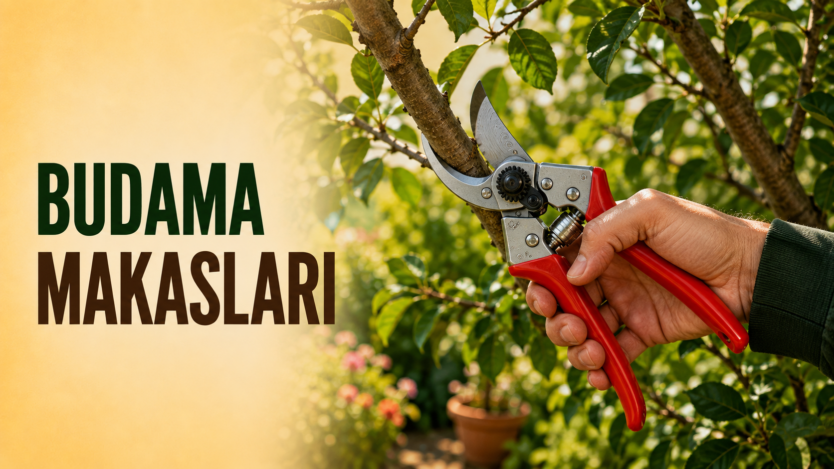 Bahçede ağaç dalı budayan el ve kırmızı saplı budama makası