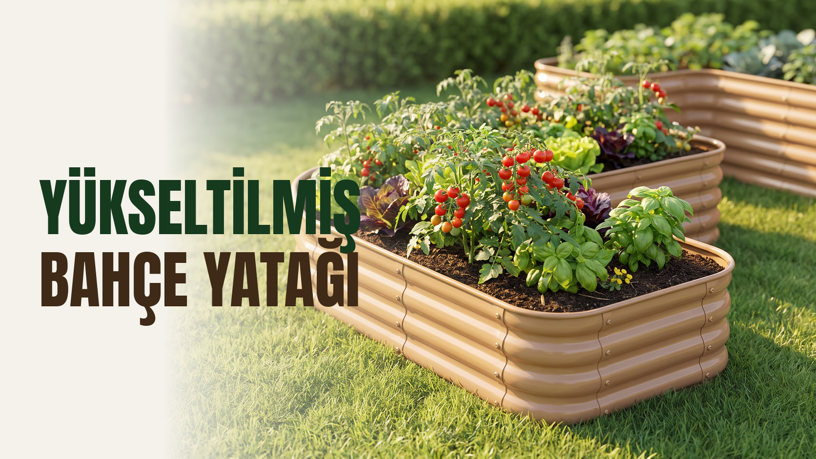 Modüler yükseltilmiş bahçe yatağı – bahçede çimenlik üzerinde domates, marul ve fesleğen ekili nervürlü metal bahçe yatakları