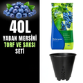Yaban mersini torf ve saksı seti – 40 litre asidik torf ve drenajlı saksı