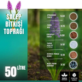 Salep bitkisi toprağı 50 litre – yüksek drenajlı karışım paketi