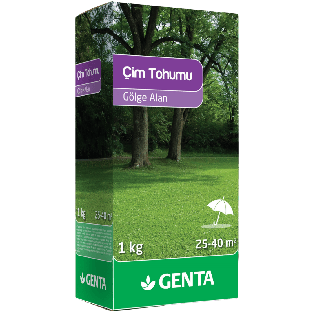 Genta gölge alan çim tohumu 1 kg - ağaç altı için