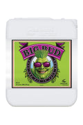 Big Bud 20 litre beyaz büyük bidon – parlak yeşil etiket, mor Big Bud yazısı, taşıma kulplu