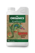 Iguana Juice Bloom 1 litre beyaz şişe – kahverengi kraft etiket, yeşil bant, renkli iguana illüstrasyonu