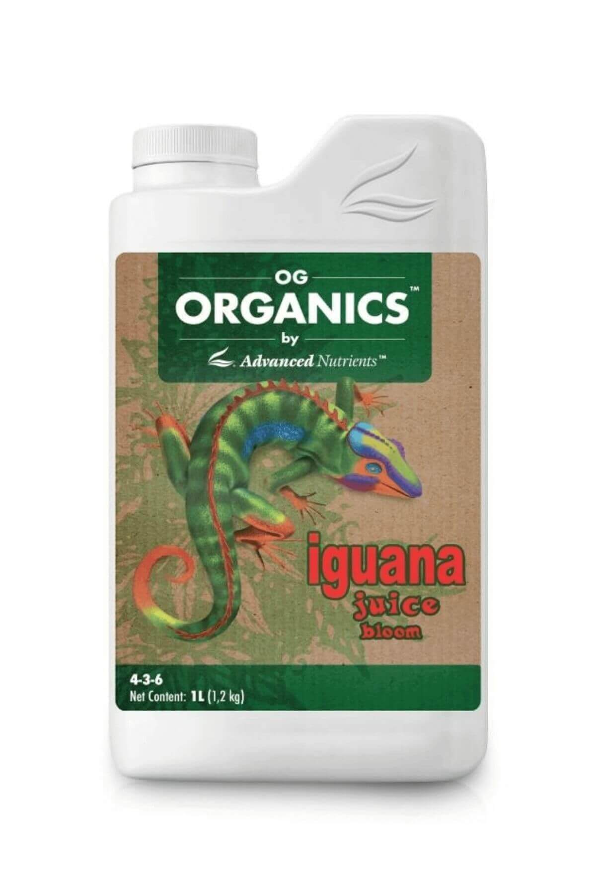 Iguana Juice Bloom 1 litre beyaz şişe – kahverengi kraft etiket, yeşil bant, renkli iguana illüstrasyonu