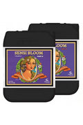 Sensi Bloom Part A ve Part B 20 litrelik siyah bidonlar – mor etiket, altın çerçeve, büyük gövdeli kap