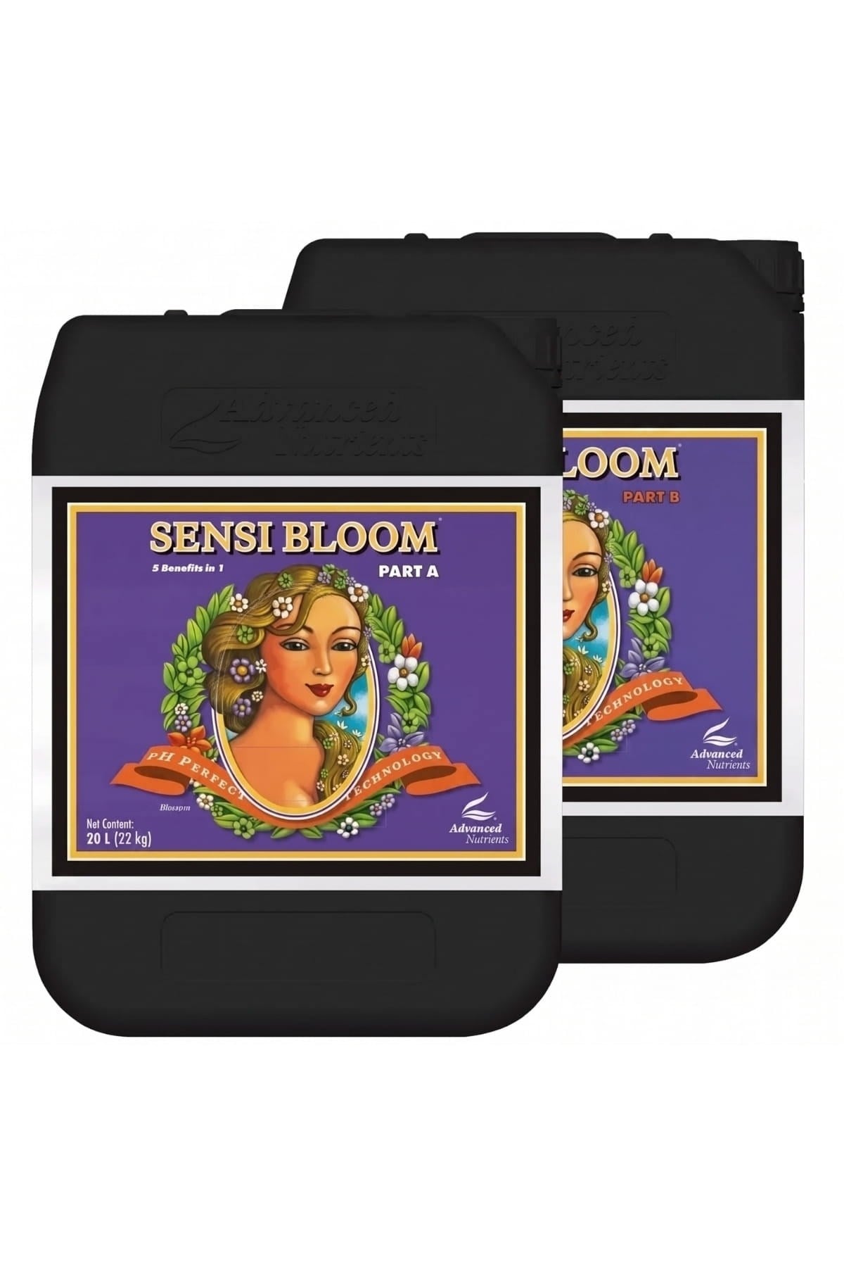 Sensi Bloom Part A ve Part B 20 litrelik siyah bidonlar – mor etiket, altın çerçeve, büyük gövdeli kap