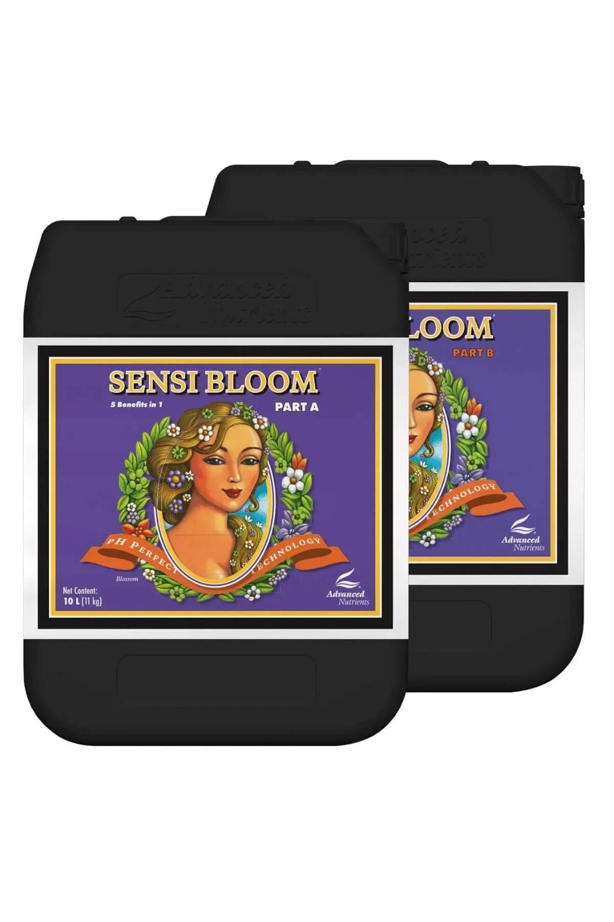 Sensi Bloom Part A ve Part B 10 litrelik siyah bidonlar – mor etiket, altın çerçeveli portre görseli