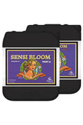 Sensi Bloom Part A ve Part B 5 litrelik siyah bidonlar – mor etiket, altın çerçeve, kadın portreli çizim