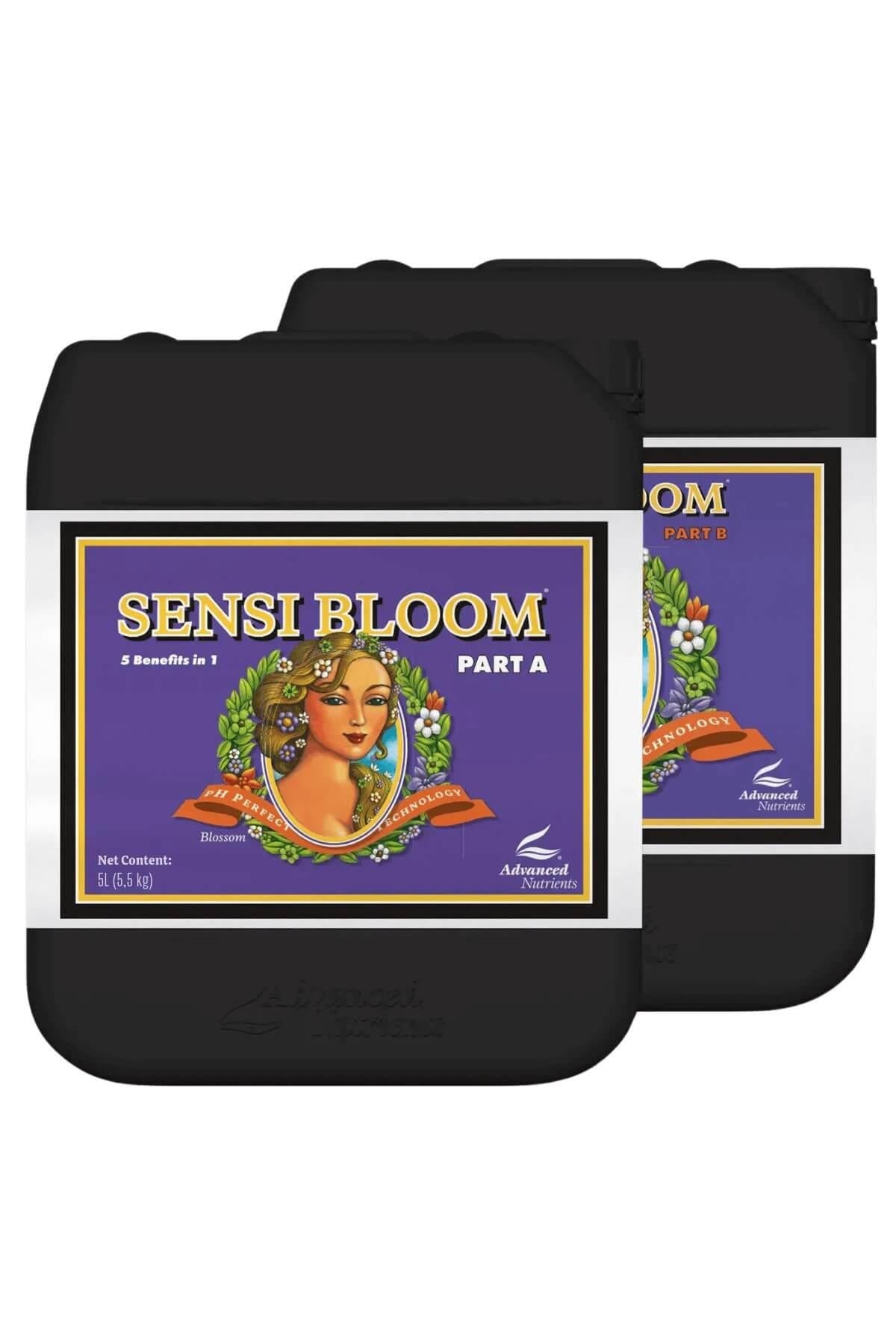 Sensi Bloom Part A ve Part B 5 litrelik siyah bidonlar – mor etiket, altın çerçeve, kadın portreli çizim