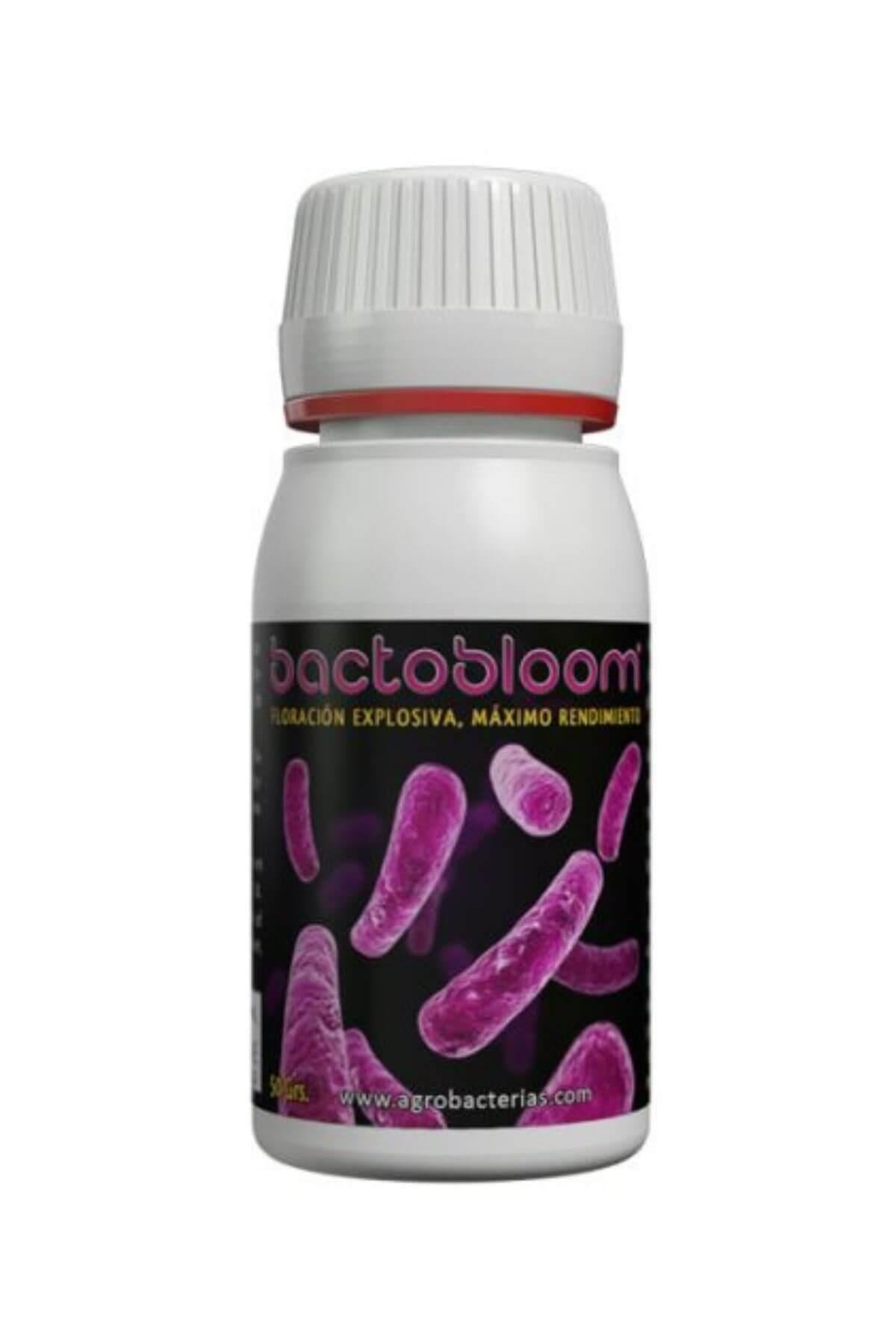 Agrobacterias Bactobloom 50 g – kapaklı küçük kutuda toz ürün ve Agrobacterias logolu etiket