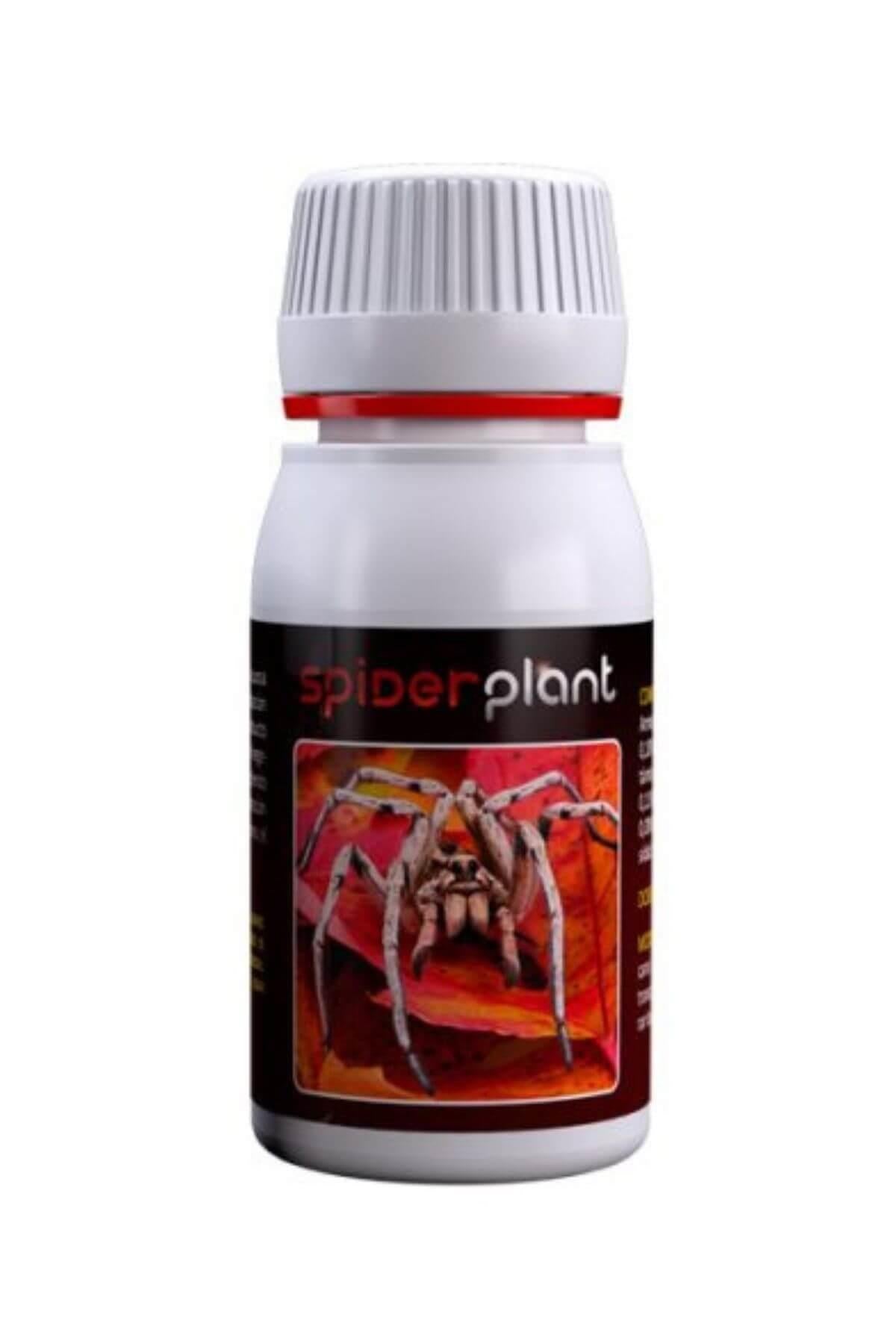Agrobacterias Spider Plant 60 ml – kapaklı küçük şişe ve Agrobacterias logolu renkli ürün etiketi