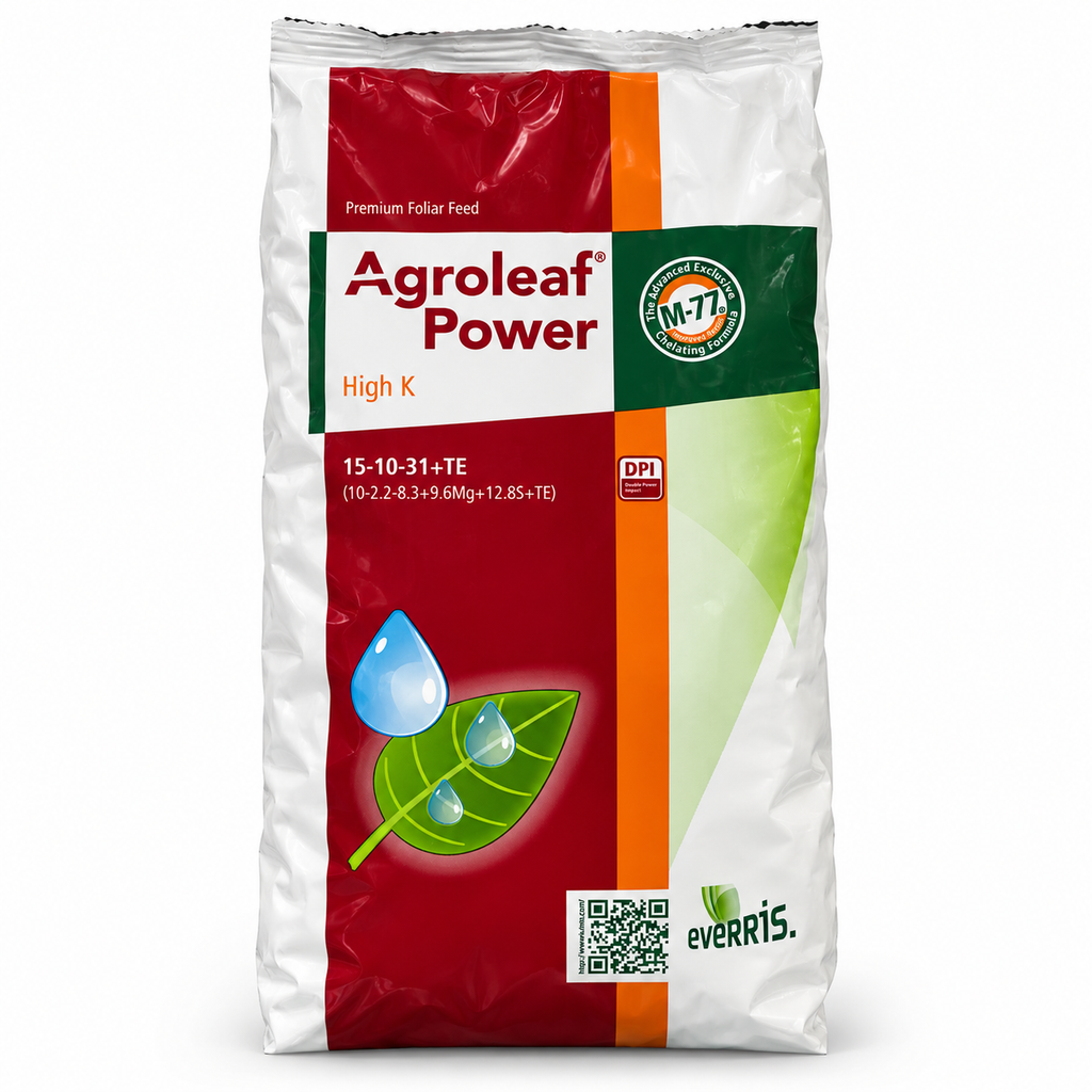 ICL Agroleaf Power High K 15-10-31 + TE – Potasyumu Baskın Yapraktan Uygulama Ürünü