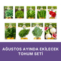Ağustos ayında ekilecek tohum seti kapağı: beyaz zeminde dokuz paket — Yedikule marul, Arapsaçı kıvırcık marul
