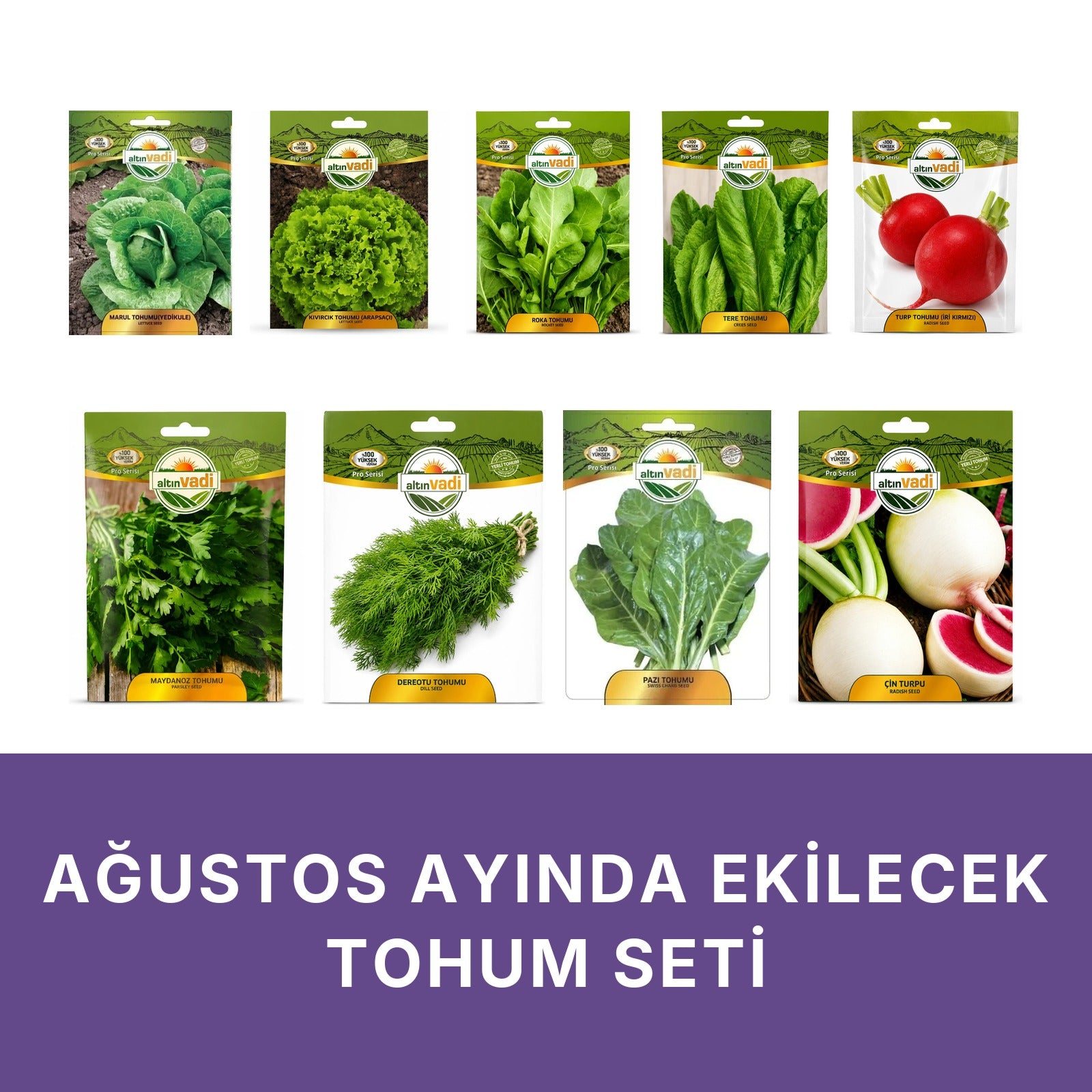 Ağustos ayında ekilecek tohum seti kapağı: beyaz zeminde dokuz paket — Yedikule marul, Arapsaçı kıvırcık marul