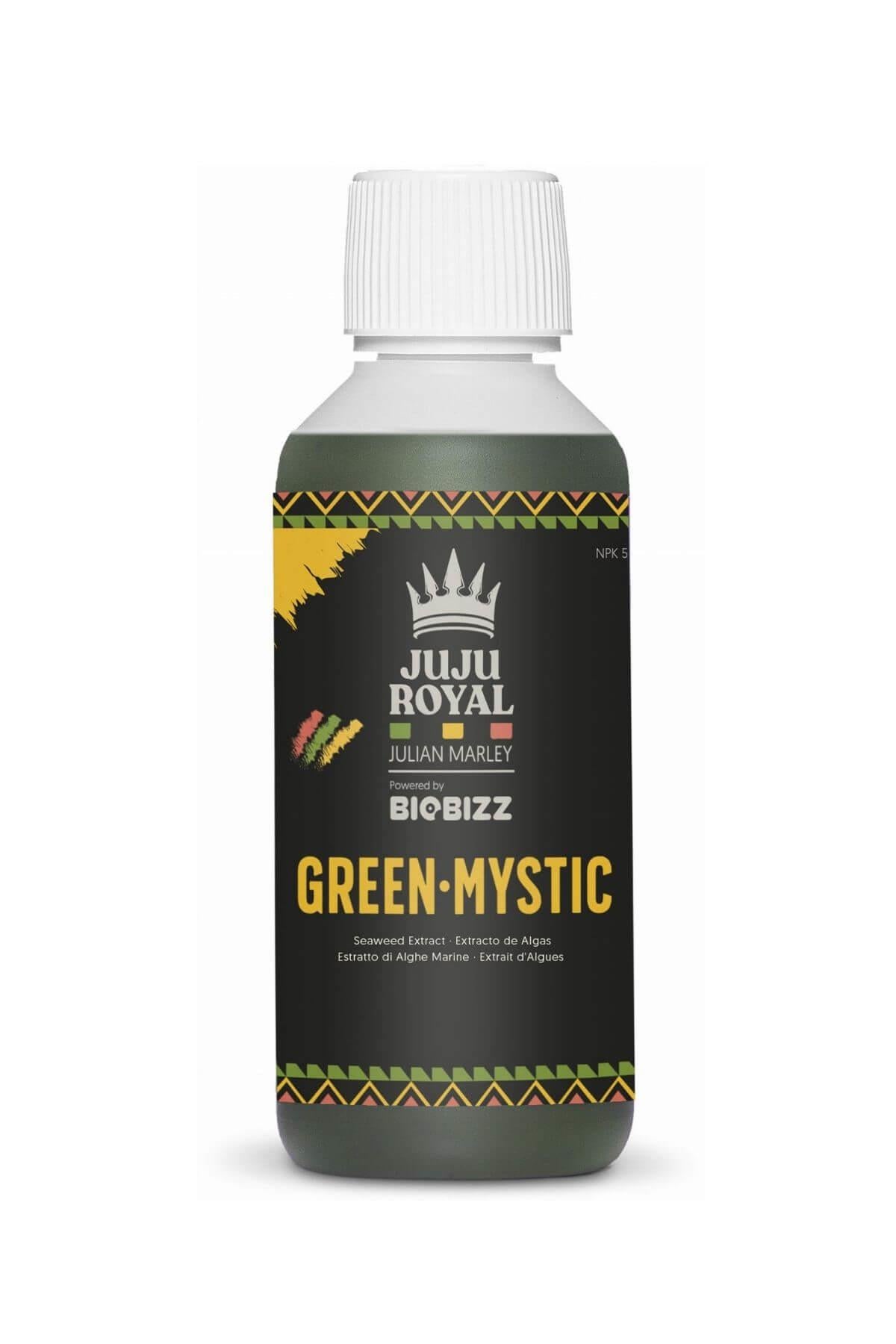 Green Mystic 250 ml siyah şişe – siyah etiket, taç amblemi ve kırmızı sarı yeşil desenli çerçeve