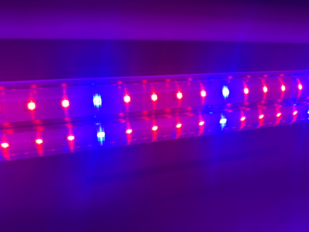 %70 Kırmızı %30 Mavi Işıklı 120 cm LED Yetiştirme Tüpü – 40 W, 220 V, IP65 Su Geçirmez