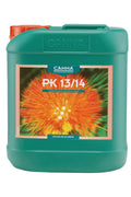 PK 13/14 5 litre yeşil bidon – turuncu çiçek fotoğraflı etiket, kırmızı kapak, kulplu geniş gövde