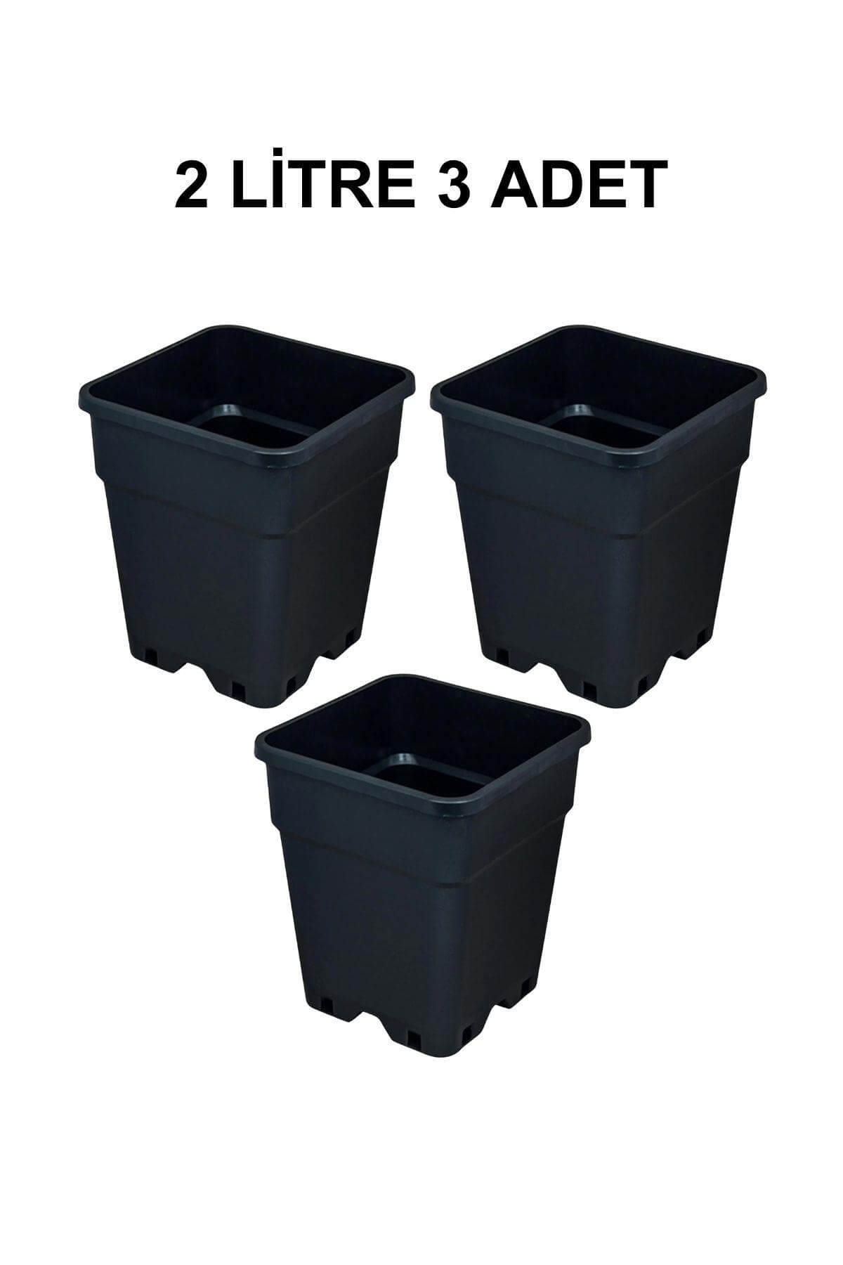 Grow Wizard 2 litre plastik kare saksı 3 adet – üç adet siyah kare saksı yan yana yerleştirilmiş