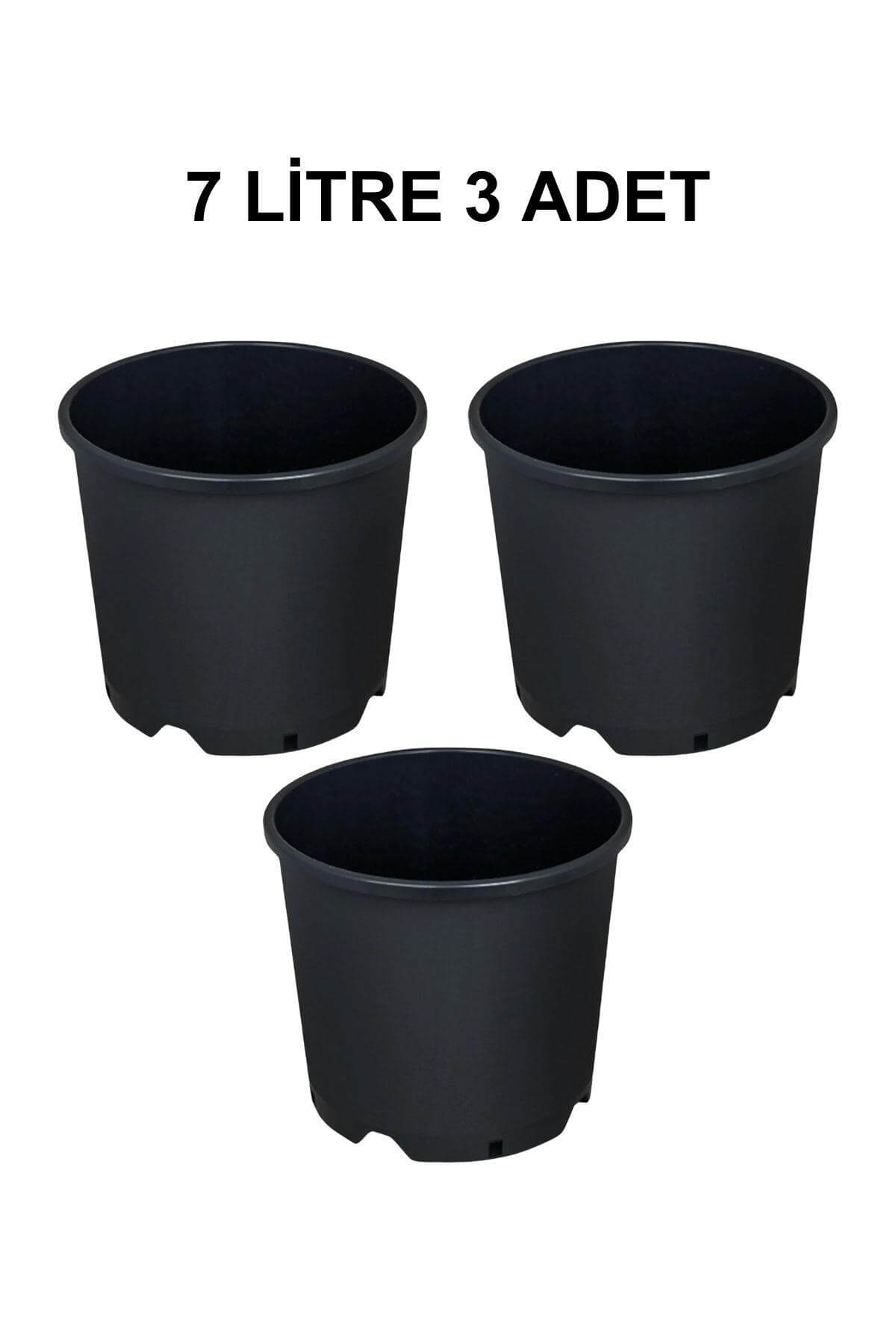 Grow Wizard 7 litre plastik yuvarlak saksı 3 adet – üç adet siyah yuvarlak saksı yan yana dizili
