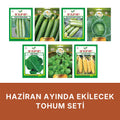 Haziran ayında ekilecek tohum seti kapağı: beyaz zeminde yedi paket — Simbo oturak fasulye, Beith Alpha salatalık