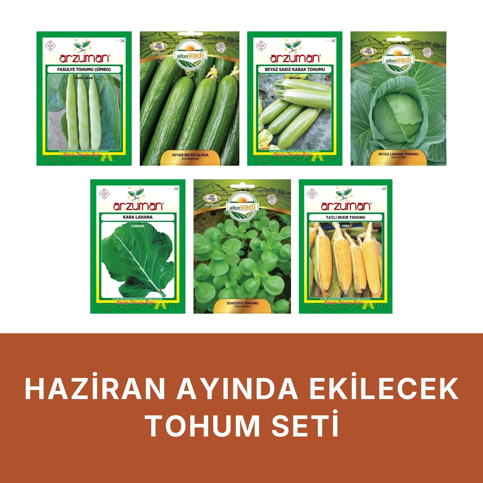 Haziran ayında ekilecek tohum seti kapağı: beyaz zeminde yedi paket — Simbo oturak fasulye, Beith Alpha salatalık