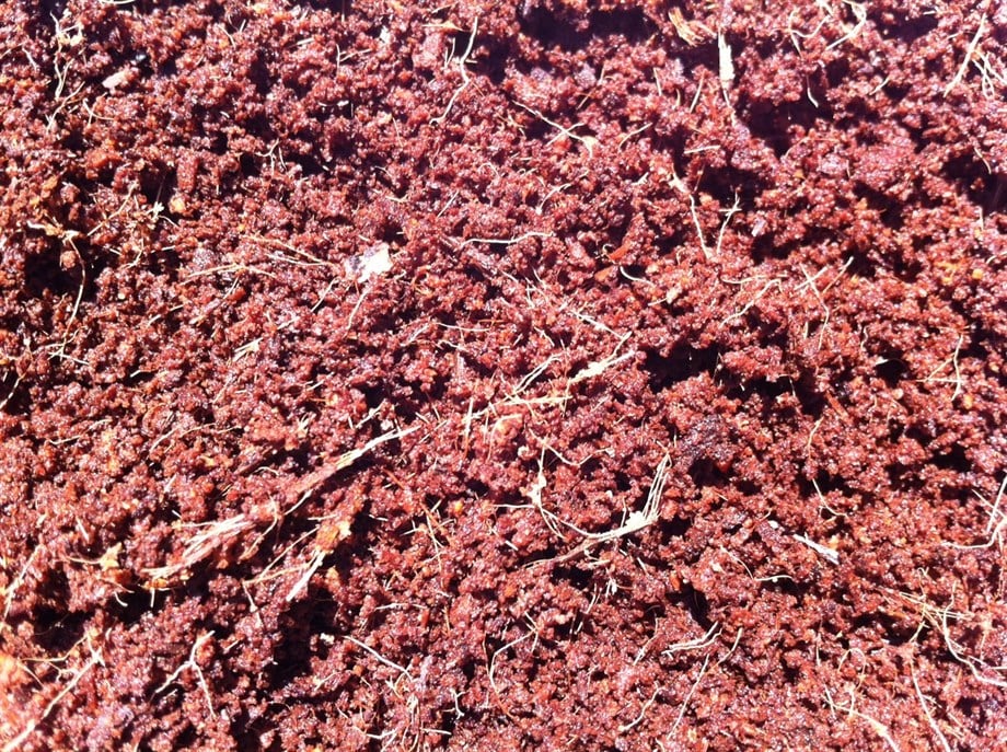 Preslenmiş Hindistan Cevizi Torfu Bloğu 4,5 kg – Yıkanmış, Suyla Yaklaşık 50 L Olur