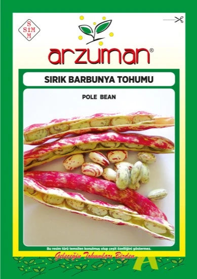 Arzuman sırık barbunya tohumu paketi – açılmış baklaların içinde krem zeminli kırmızı benekli barbunya taneleri görseli