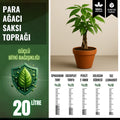 Para ağacı (Pachira aquatica) için 20 litrelik saksı toprağı paketi