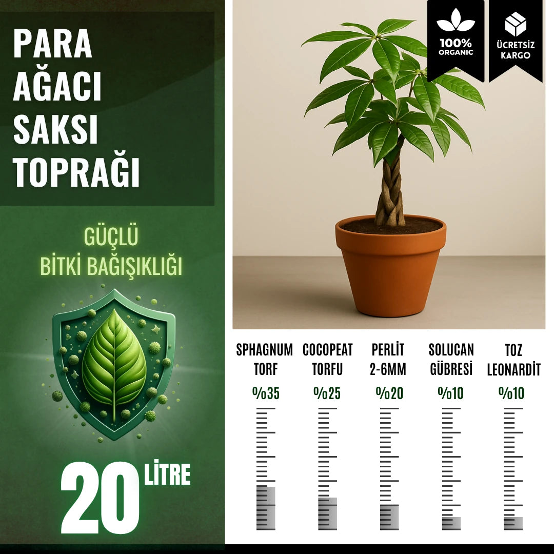 Para ağacı (Pachira aquatica) için 20 litrelik saksı toprağı paketi