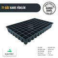 77 gözlü kare fide viyolü – 67 cc, dar ve derin gözler
