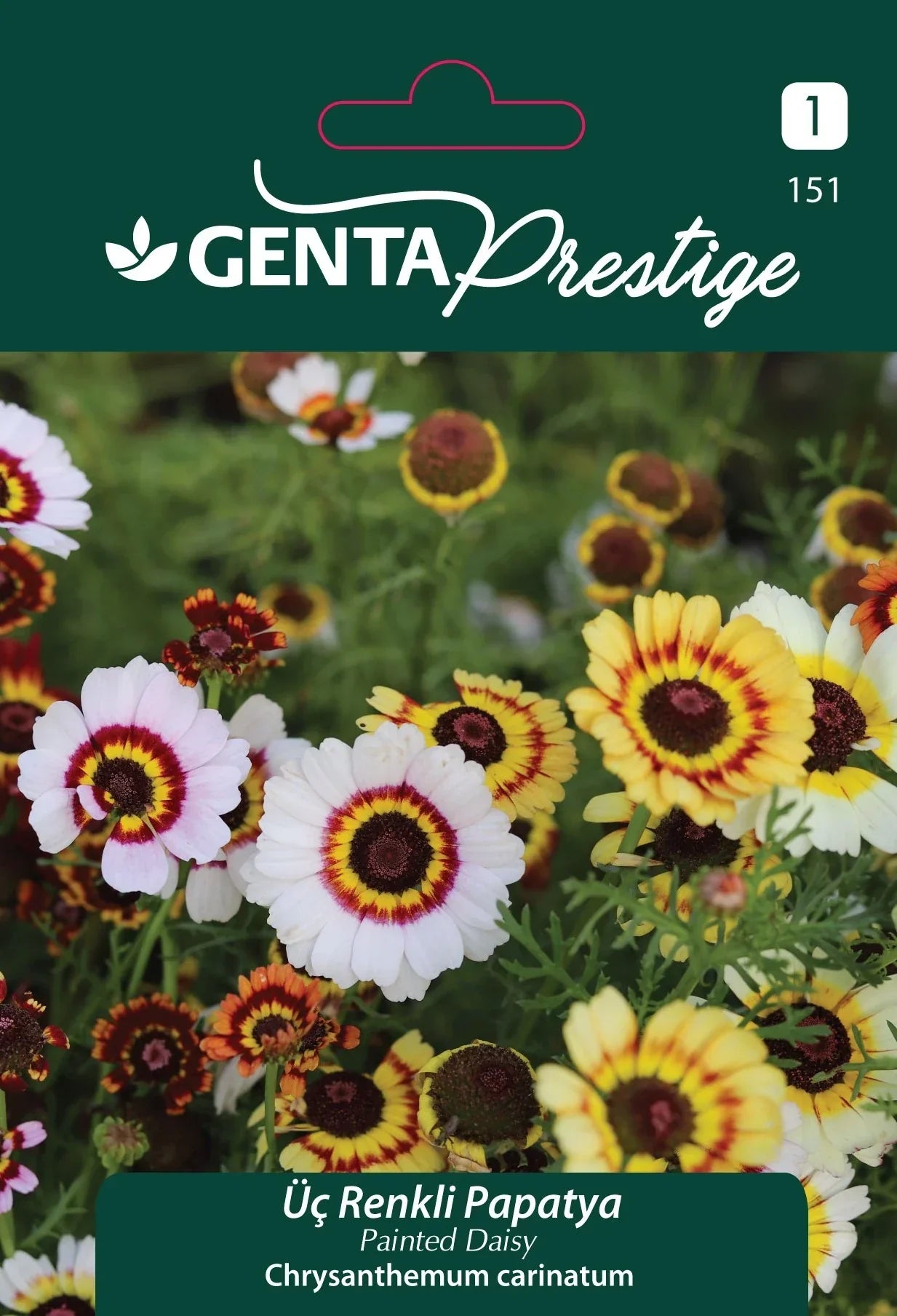 Genta Prestige Üç Renkli Papatya (Painted Daisy – Chrysanthemum carinatum) Tohumu – Arıları Çeken Çokrenkli Tek Yıllık Çiçek - ambalajlı tohum ürünü görseli