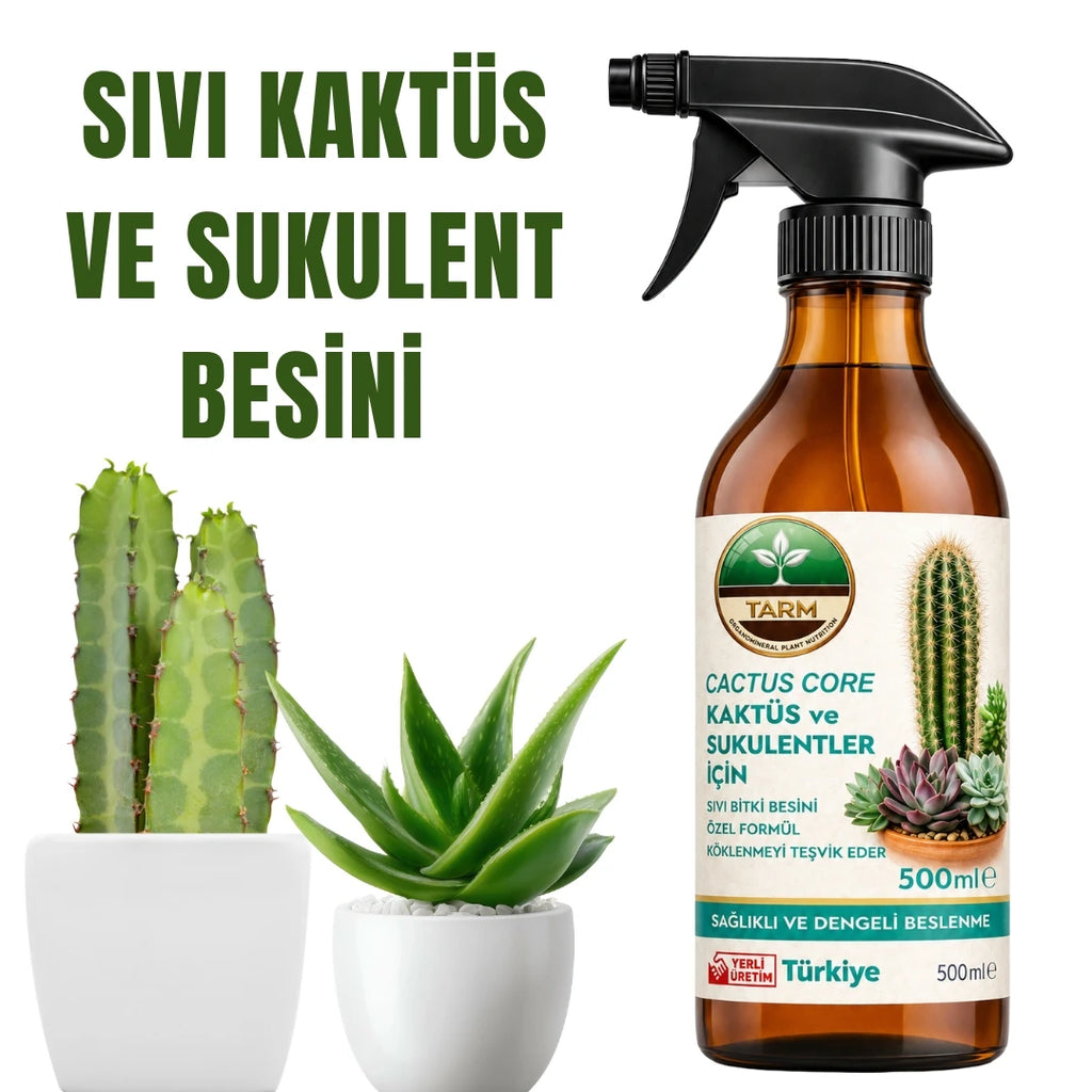 Cactus Core kaktüs ve sukulent besini 500 ml sprey şişesi
