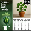Çin para çiçeği (Pilea) için 10 litrelik saksı toprağı paketi