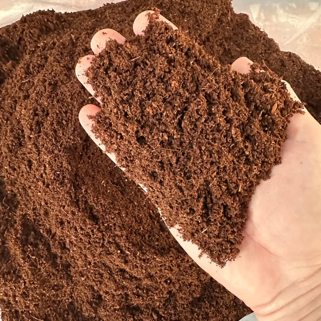 20 kg Cocopeat Torfu (Kullanıma Hazır)