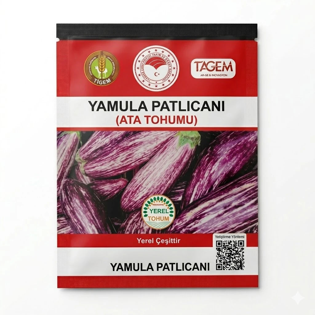 TAGEM Yamula patlıcanı ata tohumu paketi – bir arada duran uzun, açık mor ve beyaz alacalı kabuklu patlıcanlar görseli