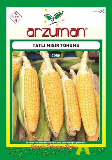 Tatlı mısır tohumu paketi – kabukları soyulmuş, altın sarısı iri taneli mısır koçanları görseli