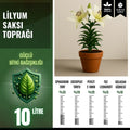Lilyum ve soğanlı çiçekler için 10 litrelik saksı toprağı paketi