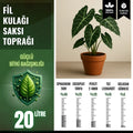 Fil kulağı (Alocasia, Colocasia) için 20 litrelik saksı toprağı paketi