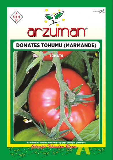 Arzuman Marmande domates tohumu paketi – dalında duran basık, omuzları dilimli parlak kırmızı domates görseli