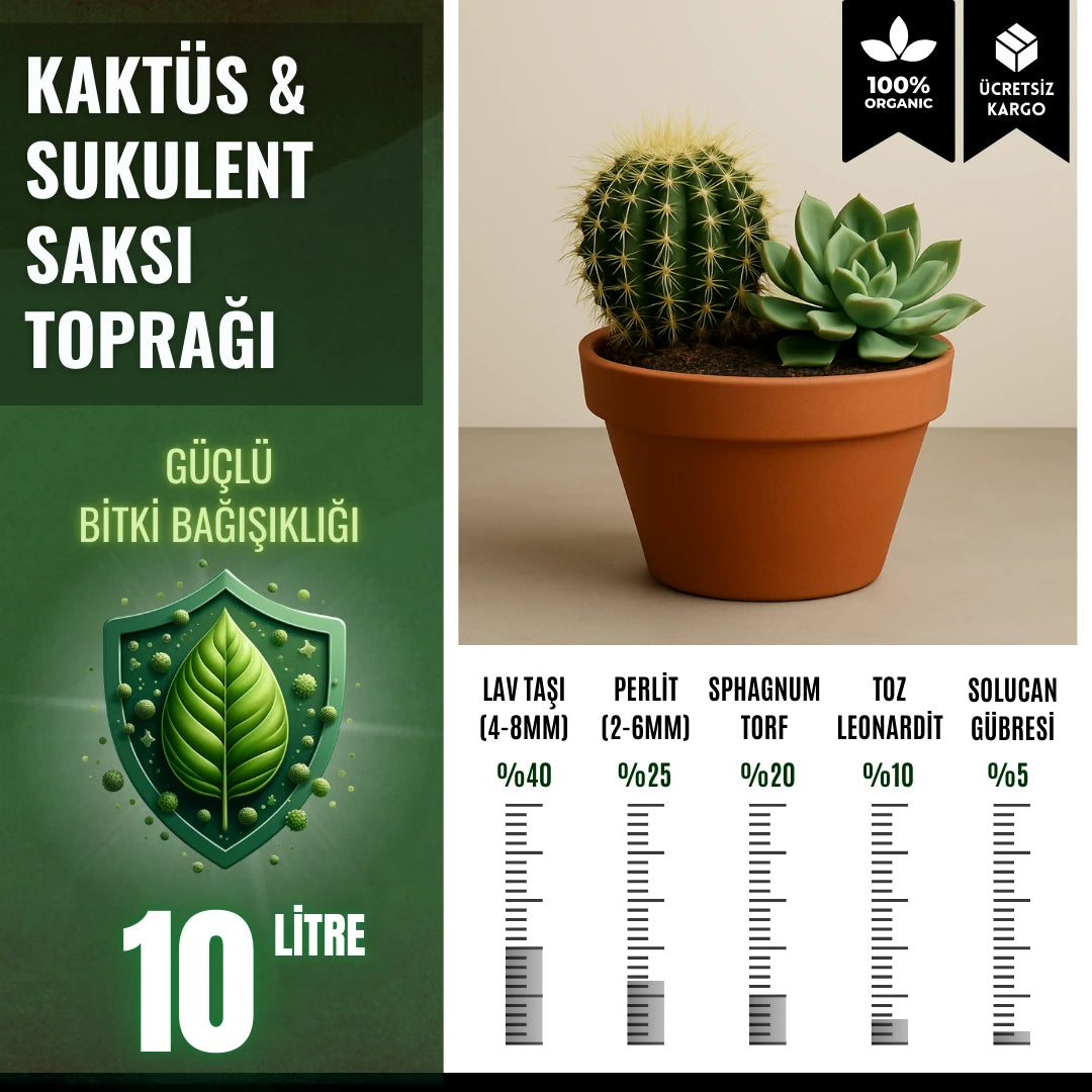 Kaktüs ve sukulent toprağı 10 litre – lav taşlı yüksek drenajlı karışım paketi
