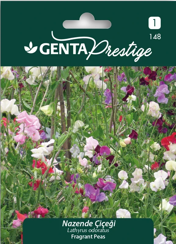 Genta Prestige Nazende Çiçeği Tohumu – Renkli Columbine (Aquilegia vulgaris), Yıllık Tırmanıcı Bitki - ambalajlı tohum ürünü görseli