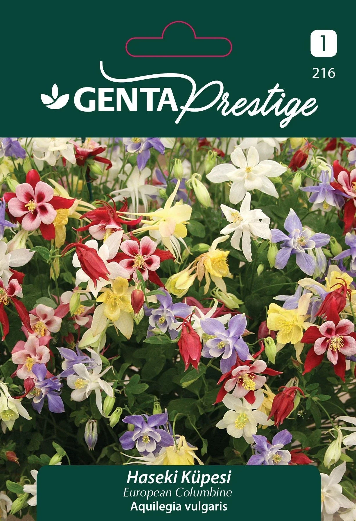 Genta Prestige Haseki Küpesi Tohumu – Renkli Columbine (Aquilegia vulgaris), Çok Yıllık Süs Bitkisi - ambalajlı tohum ürünü görseli
