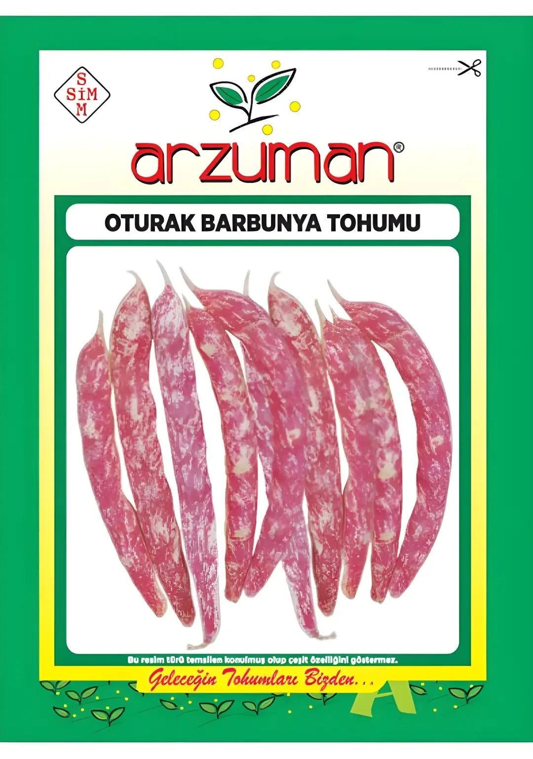 Arzuman oturak barbunya tohumu paketi – yan yana dizilmiş krem zeminli, kırmızı benekli barbunya baklaları görseli