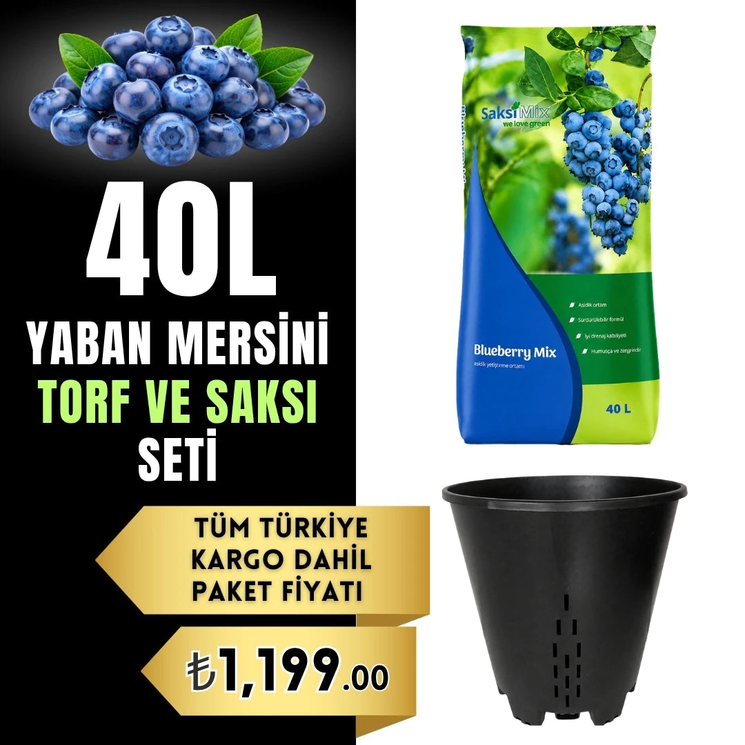 Yaban mersini torf ve saksı seti – 40 litre asidik torf ve drenajlı saksı