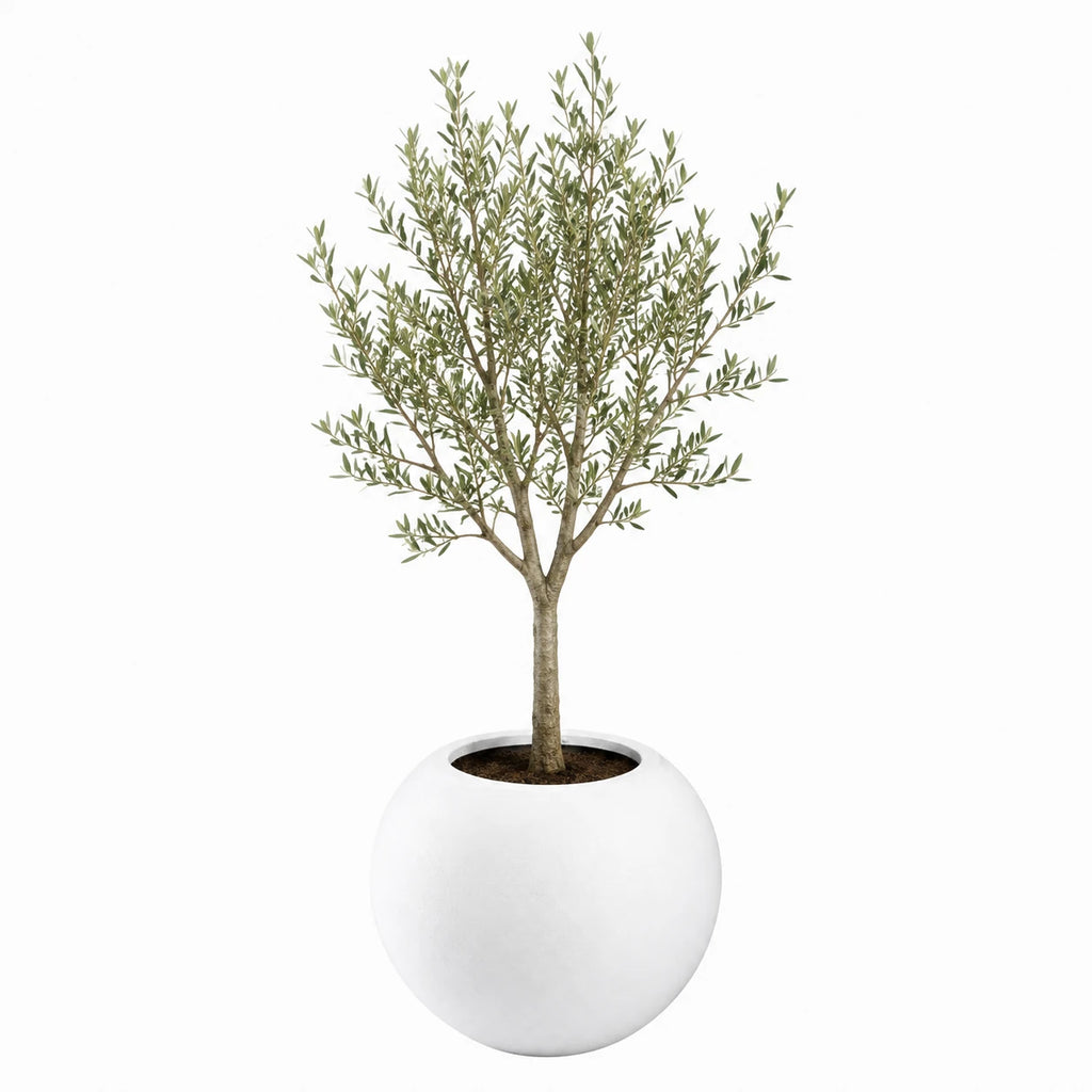 Dekoratif Küre Fiber Saksı 45 × 38 cm