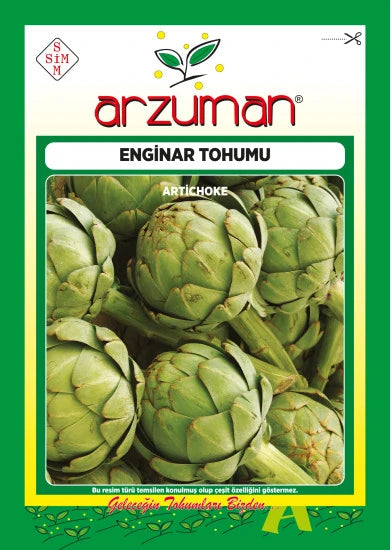 Arzuman enginar tohumu paketi – bir arada duran yeşil, pulları sıkı kapalı enginar tomurcukları görseli
