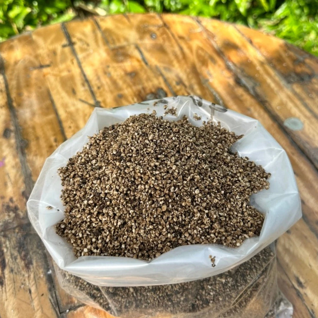 Solucan Gübreli Perlit - 5 Litre