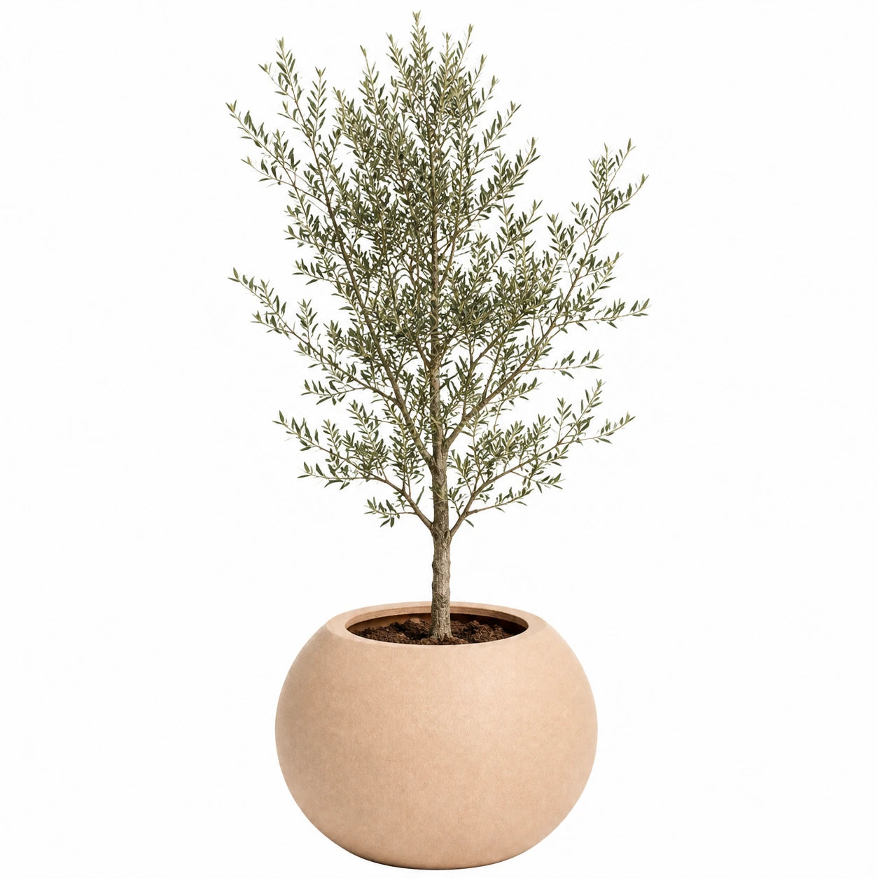 Dekoratif Küre Fiber Saksı 45 × 38 cm