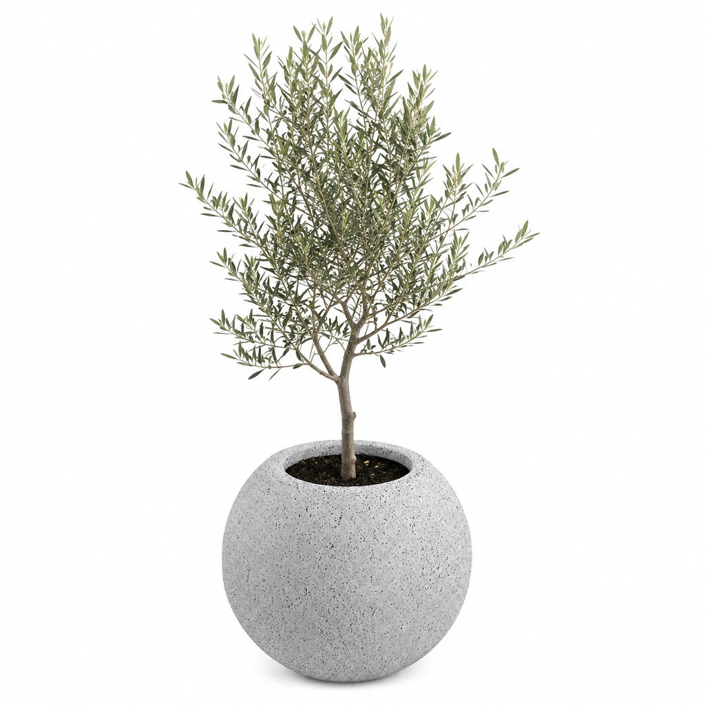 Dekoratif Küre Fiber Saksı 40 × 32 cm
